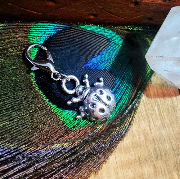 5/$25 Ladybug Charm Bracelet Add-on Ladybug Pendant Lady Bug Bag Charm Purse Mom - Picture 1 of 10